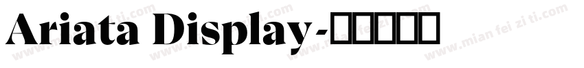 Ariata Display字体转换